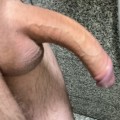 Profilbillede af Storpiklangeskov