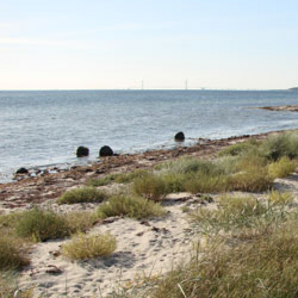 Egerup Strand (Vestsjælland) Gruppelogo
